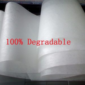 PLA Nonwoven Fabric | Polylactic Non-woven Fabric